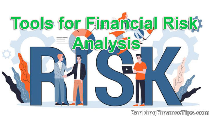 Tools for Financial Risk Analysis
